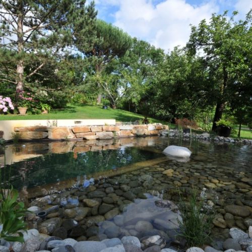 Piscine naturelle