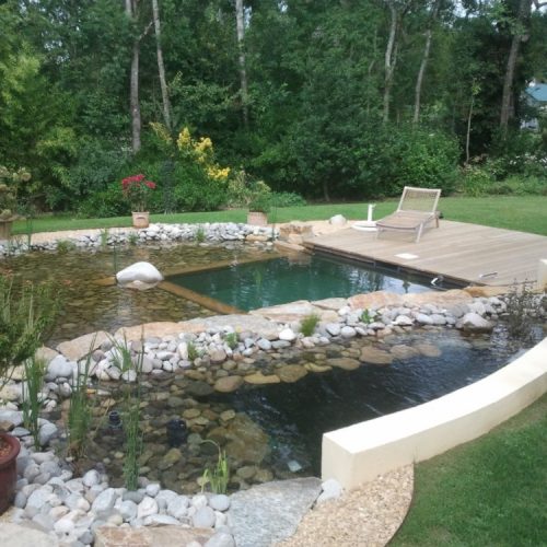 Piscine biologique
