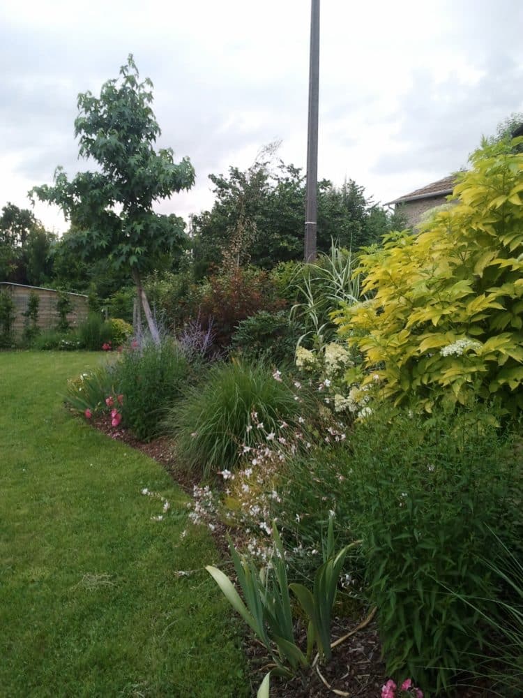 Piscine naturelle et bassin d'agrément  Rebeyrol : aménagement et  entretien des jardins : Rebeyrol : aménagement et entretien des jardins