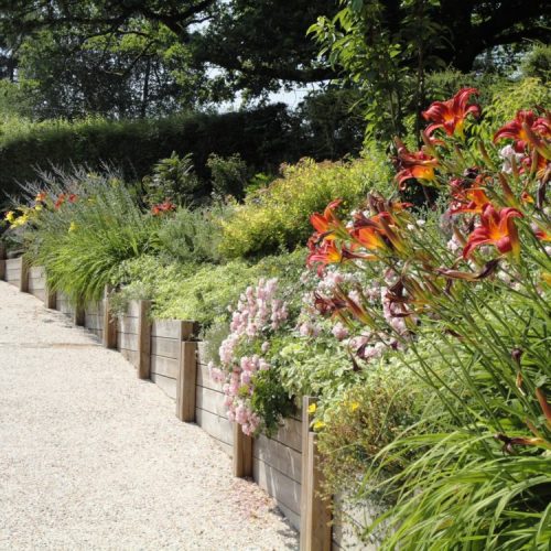 allée, allée béton désactivé, béton désactivé, massif, massif végétaux, création allée limoges, création jardin limoges, création massif limoges, rebeyrol