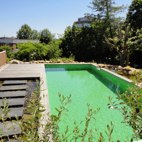 Piscine naturelle et bassin d'agrément