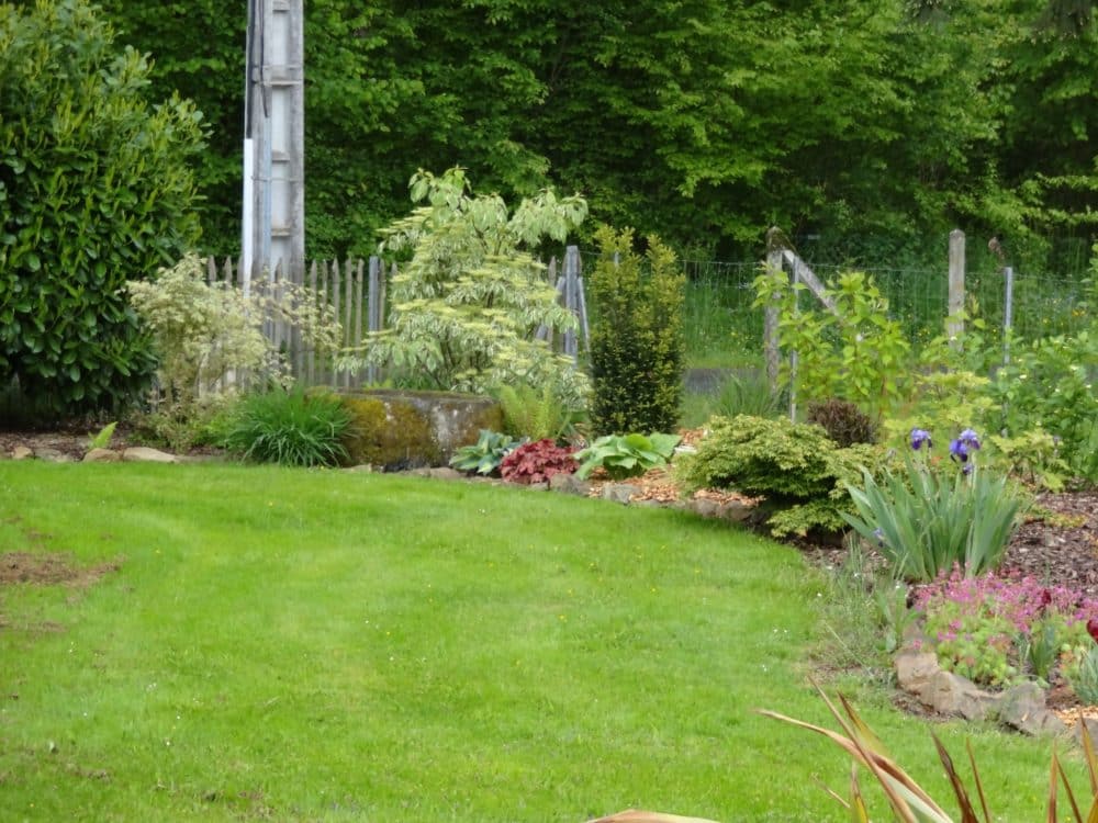 Piscine naturelle et bassin d'agrément  Rebeyrol : aménagement et  entretien des jardins : Rebeyrol : aménagement et entretien des jardins