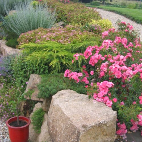 massif, végétaux, massif végétaux, talus, rocaille, création jardin limoges, rebeyrol