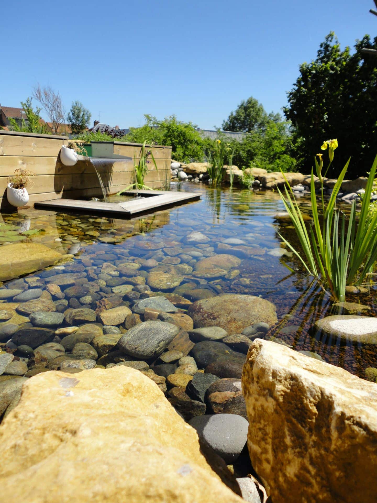 Piscine naturelle et bassin d'agrément  Rebeyrol : aménagement et  entretien des jardins : Rebeyrol : aménagement et entretien des jardins