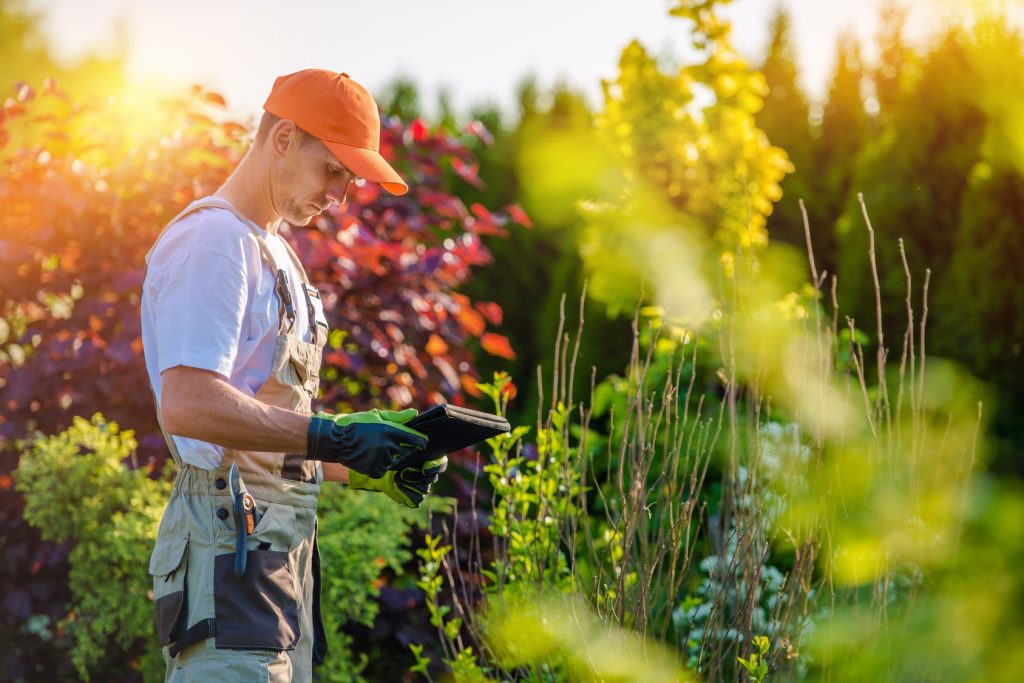 Rebeyrol Créateur de Jardins Entretien des jardins 87 limoges