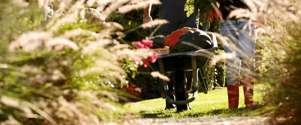 Le bien être est dans le jardin : l’automne