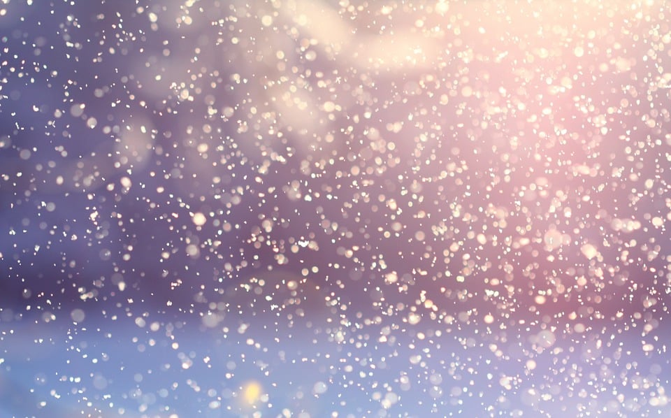 Le bien-être est dans le jardin : l’hiver
