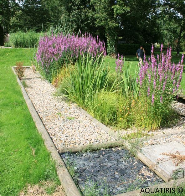 rebeyrol, rebeyrol créateur de jardins, phytoépuration, aquatiris, jardin d'assainissement, limoges, 87