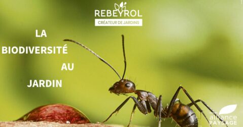 Portes Ouvertes 2022