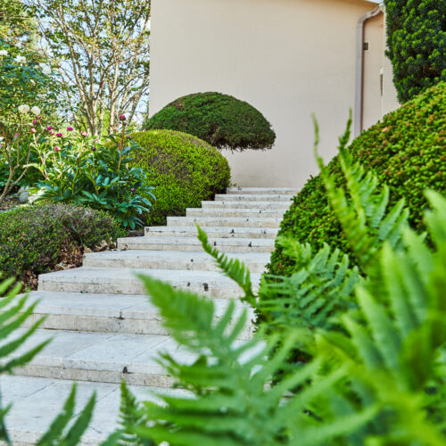 Escalier travertin et végétalisation