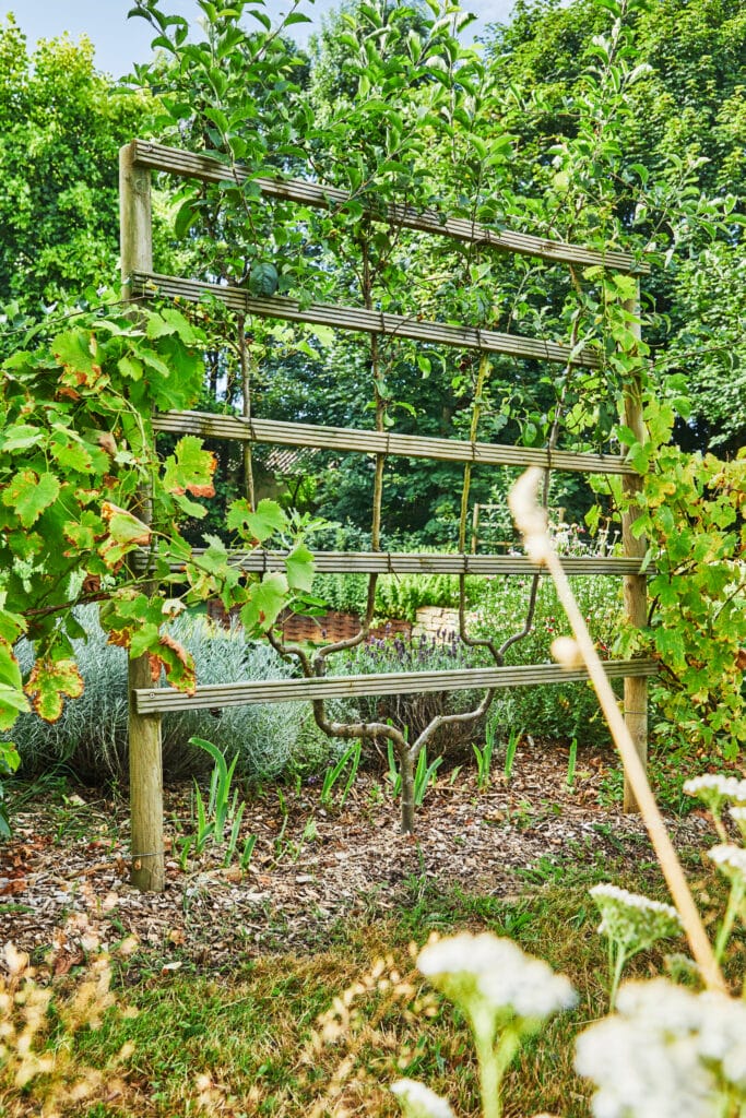 Jardin fruitier Limoges